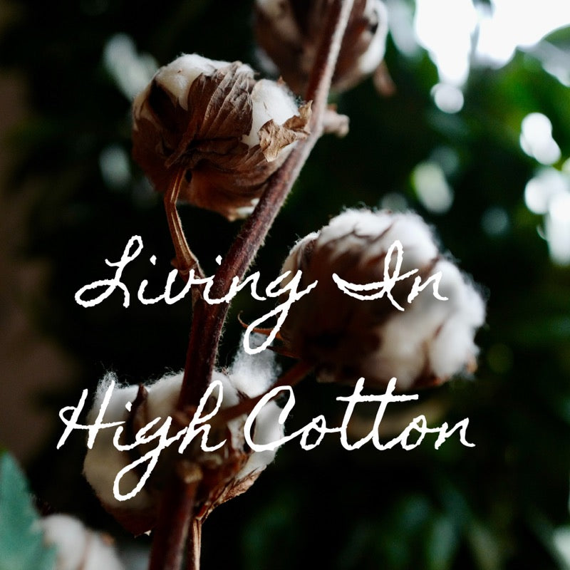 Living in High Cotton