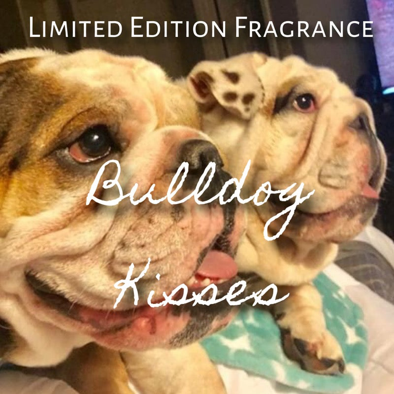 Limited Edition Bulldog Kisses-- 16 oz Classic Glass Jar